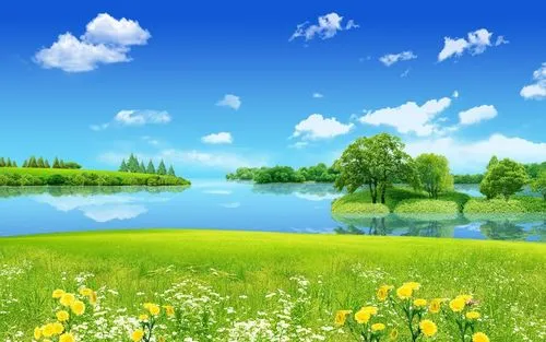 全自动节能